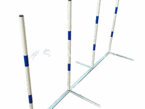 slalom galican Agility toestellen