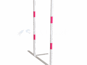2x2 slalom galican Agility toestellen