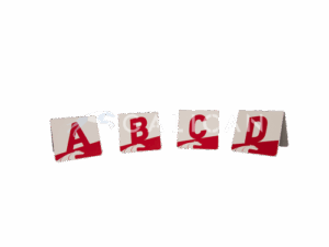 letterset pvc Agilitytraining